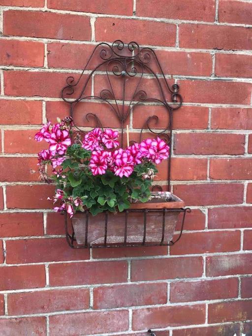 Brook Lodge Garden Flat 斯沃尼奇 外观 照片